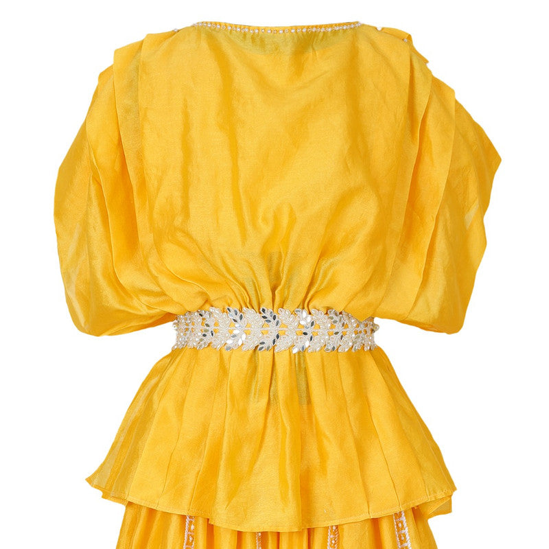 LINEAR-HORSE-LEHENGA-SET-111113-3