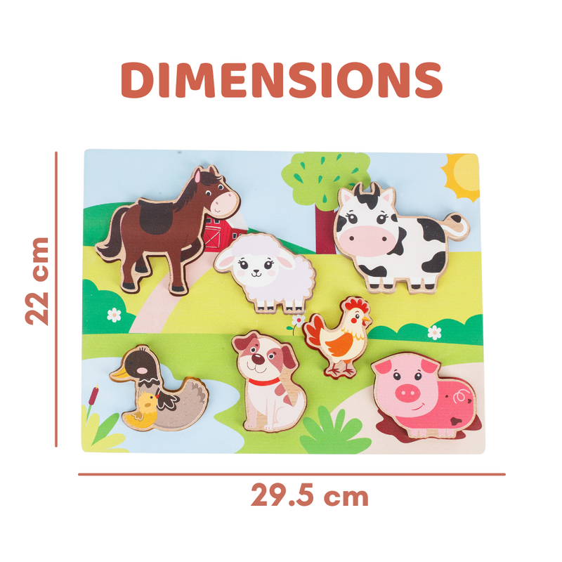 Product Image-2