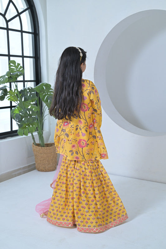 Product Image-2