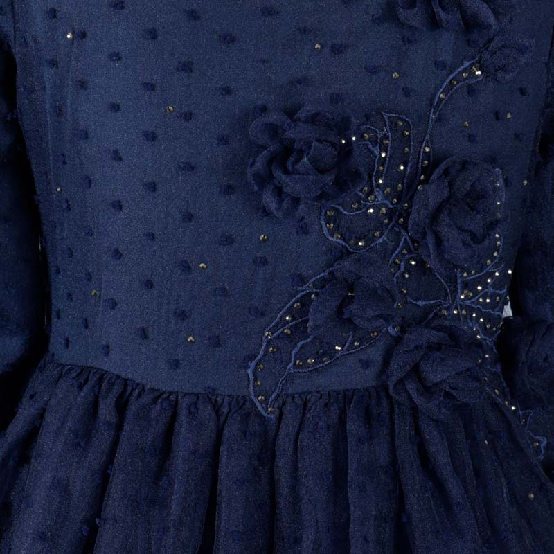 BLUE-ROSE-GOWN-89780-3