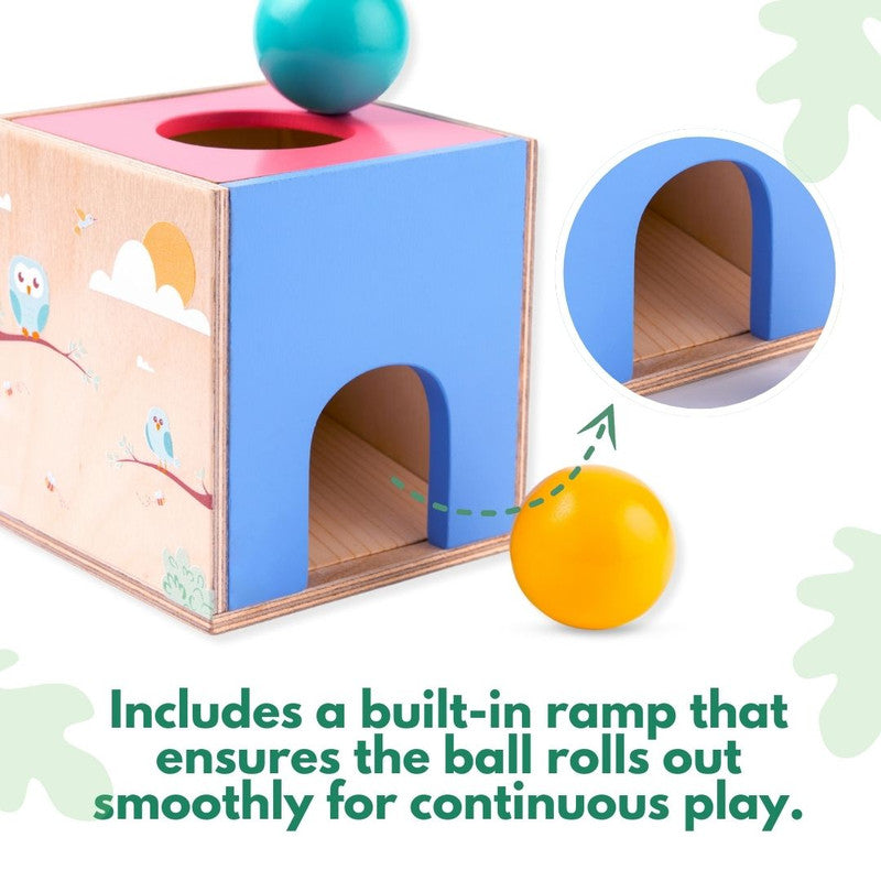 Product Image-2