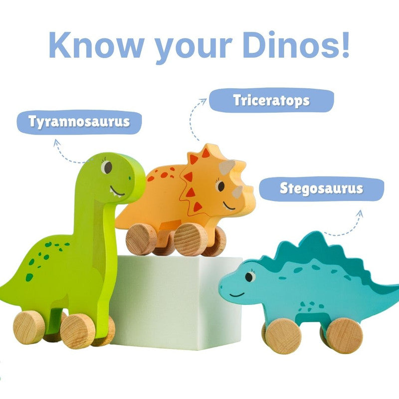 Product Image-2
