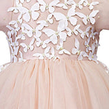 Product Image-2