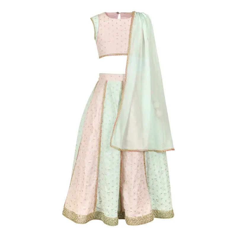 PANELED-LEHENGA-SET-108101-1