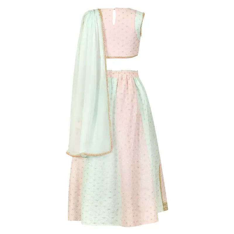 PANELED-LEHENGA-SET-108101-2
