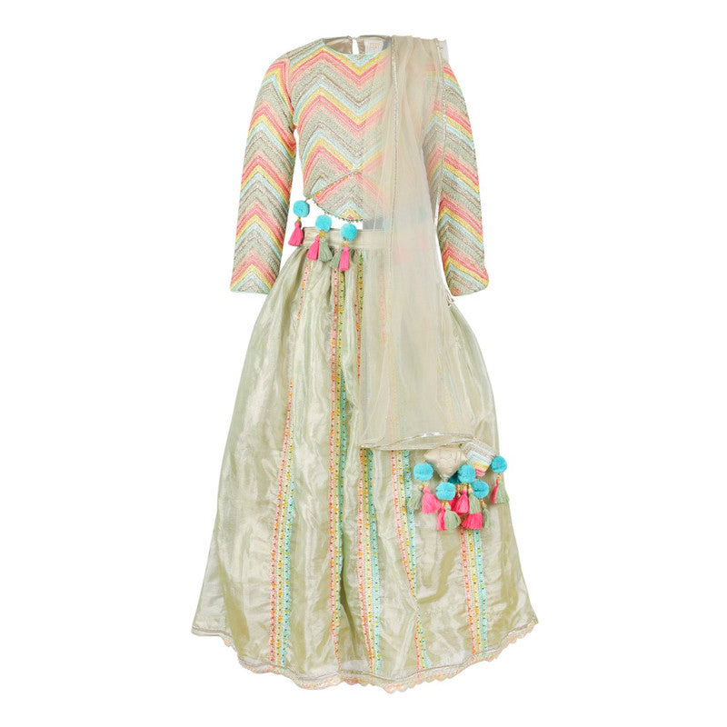CHEVRON-LEHENGA-SET-111105-1