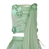 CIRCULAR-PANEL-LEHENGA-114652-2