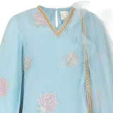 Rang Blue Roses Sharara Set
