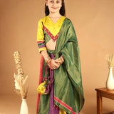 Panchphooli Multicolor Panel Lehenga Set