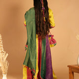 Panchphooli Multicolor Panel Lehenga Set