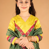 Panchphooli Multicolor Panel Lehenga Set