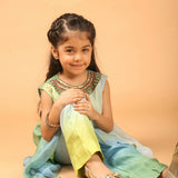 Gulbahaar Kurta Set
