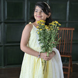 Product Image-2