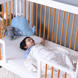 Growgether Aero Fiber Breeze Crib Mattress