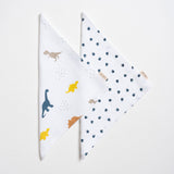 Aariro Muslin Washcloth - Little dino