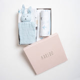 Aariro Gift box - Dream Big