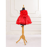 Casa Ninos Scarlet Rose Dress