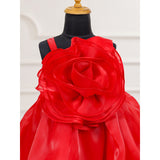 Casa Ninos Scarlet Rose Dress