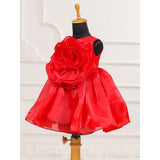 Casa Ninos Scarlet Rose Dress