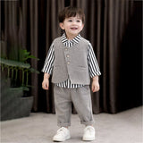 3 Pcs Set,Grey Zig Zag Textured Vest,Shirt & Pants for Kids