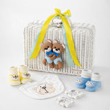 LSB 25 pcs, Twin Boys White cane basket themed Newborn Baby Boy, All Season wear,Gift Hamper set, 0-6 months
