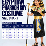 LSB Black & Gold Egyptian Pharaoh Boy, Kids Halloween Costume Fancy Dress Up