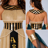 LSB Egyptian Pharaoh Queen Adult Halloween Costume Fancy Dress Up