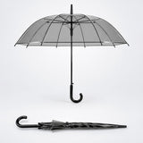 LSB Black Beauty Jelly Transparent Umbrella for Teens & Adults