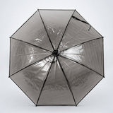 LSB Black Beauty Jelly Transparent Umbrella for Teens & Adults