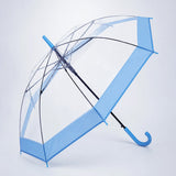LSB Blue Big Border Transparent Umbrella for Teens & Adults