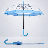 LSB Blue Big Border Transparent Umbrella for Teens & Adults