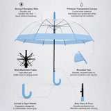 LSB Blue Big Border Transparent Umbrella for Teens & Adults