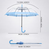 LSB Blue Big Border Transparent Umbrella for Teens & Adults
