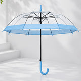 LSB Blue Big Border Transparent Umbrella for Teens & Adults