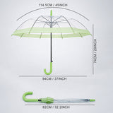 LSB Green Big Border Transparent Umbrella for Teens & Adults