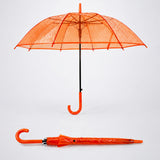 LSB Orange Jelly Transparent Umbrella for Teens & Adults