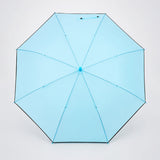 LSB Pastel Blue Solid Black border Umbrella for Adults