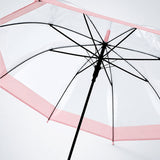 LSB Peach Big Border Transparent Umbrella for Teens & Adults