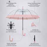 LSB Peach Big Border Transparent Umbrella for Teens & Adults