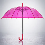 LSB Hot Pink Jelly Transparent Umbrella for Teens & Adults
