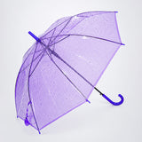 LSB Rich Purple Jelly Transparent Umbrella for Teens & Adults