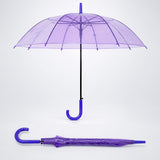 LSB Rich Purple Jelly Transparent Umbrella for Teens & Adults