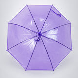LSB Rich Purple Jelly Transparent Umbrella for Teens & Adults