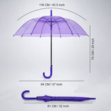 LSB Rich Purple Jelly Transparent Umbrella for Teens & Adults