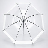 LSB White Big Border Transparent Umbrella for Teens & Adults