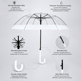 LSB White Big Border Transparent Umbrella for Teens & Adults