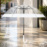 LSB White Big Border Transparent Umbrella for Teens & Adults