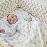 Product Image-4