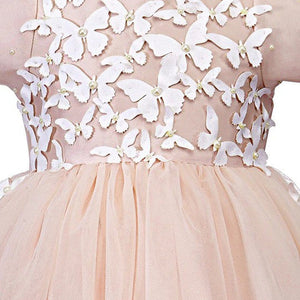 Product Image-2