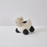 Product Image-0